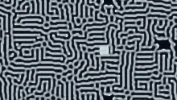 Reaction-Diffusion screensaver mode